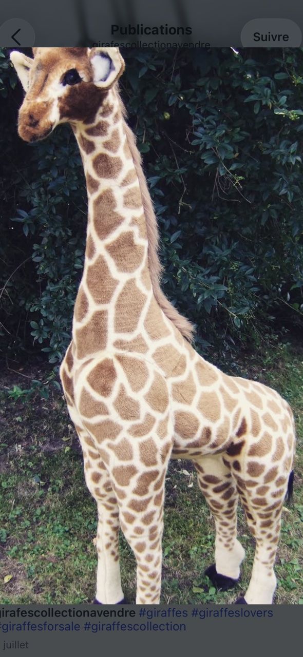 Giocattoli: collection unique 340 girafes – Usato da Châtonnaye venduto da lebizu 6