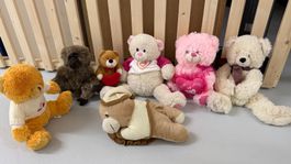 7 Teddy bears Gr. M and S