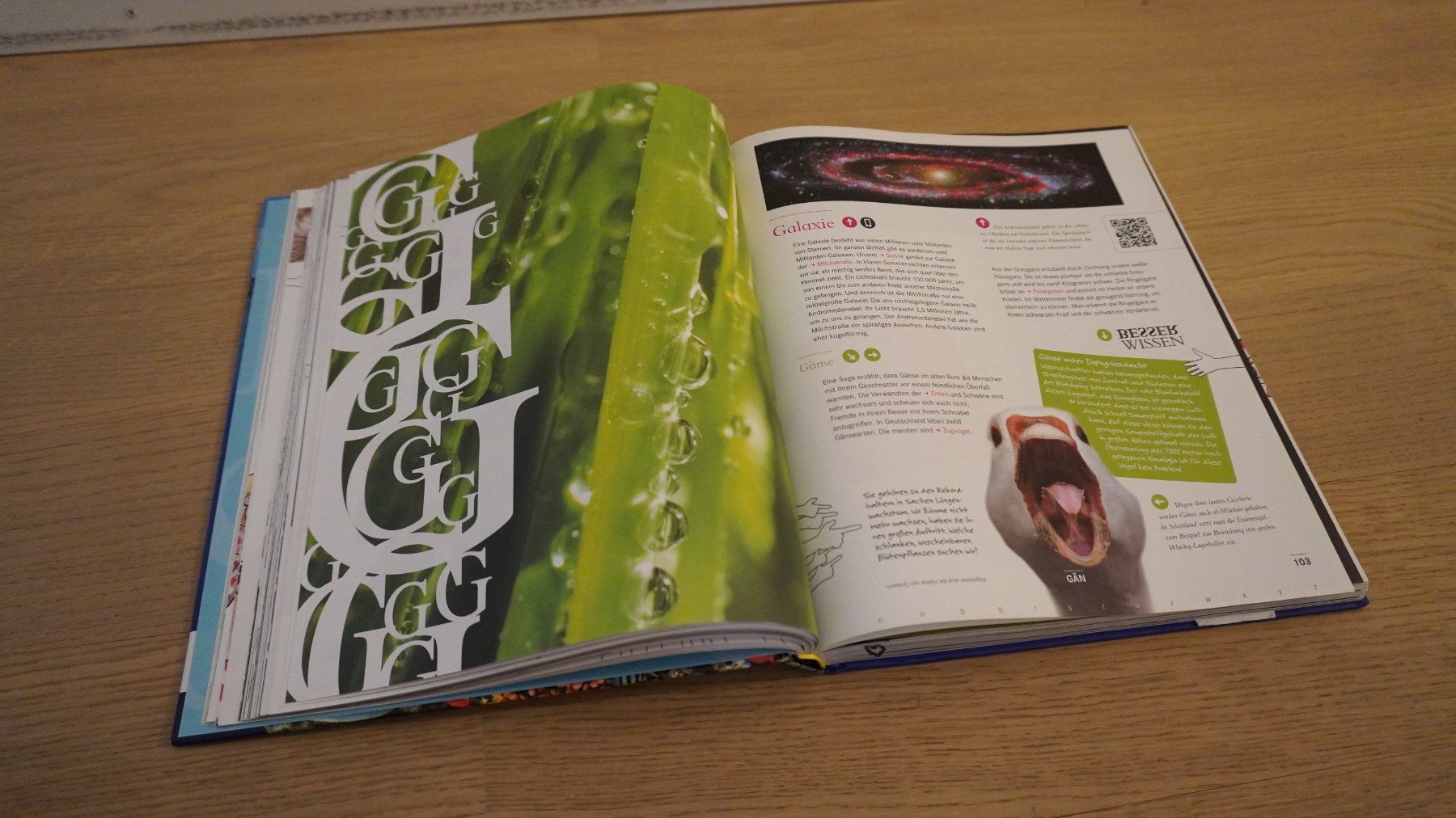 Libri: Das grosse Kinderlexikon - IN EINEM BAND Edition – Usato da Lupsingen venduto da Supra88 2
