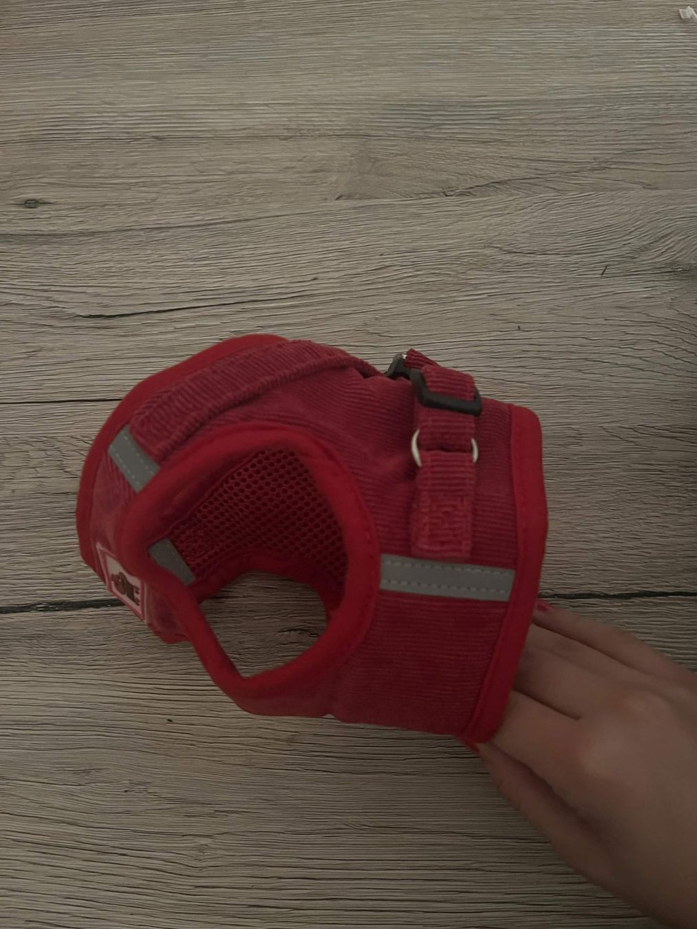 Attrezzatura da arrampicata: Harnais rouge pour chien DUOMM - S – Nuovo (secondo la descrizione) da Genève venduto da Isa_ventes 1