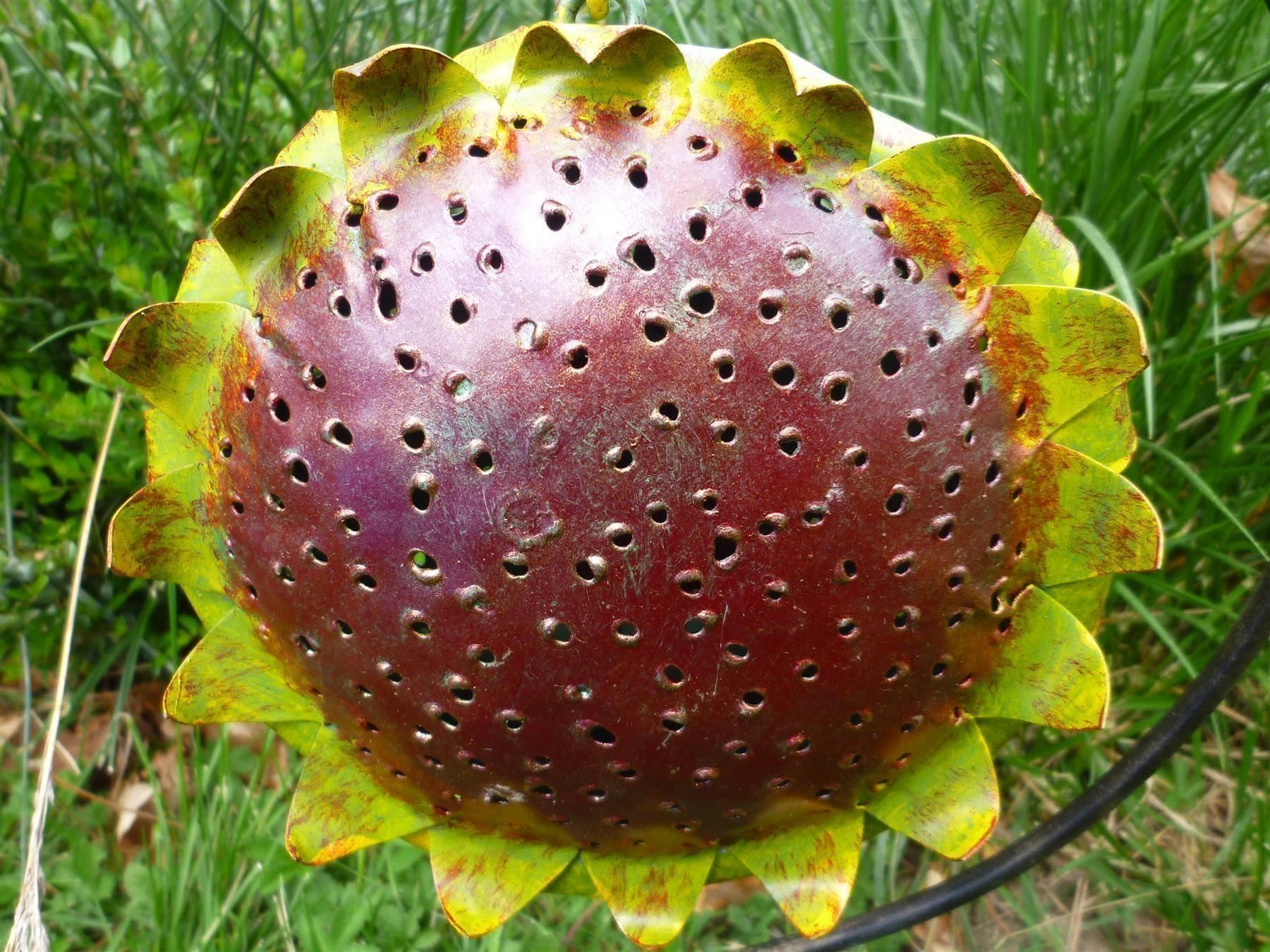 Lanterne: Sonnenblume Windlicht klein – Nuovo e nell'imballaggio originale da Aarau venduto da Rdodger 2