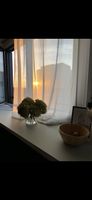 IKEA ROSENROBINIA Gardinenstore/Paar weiss 145x300 cm
