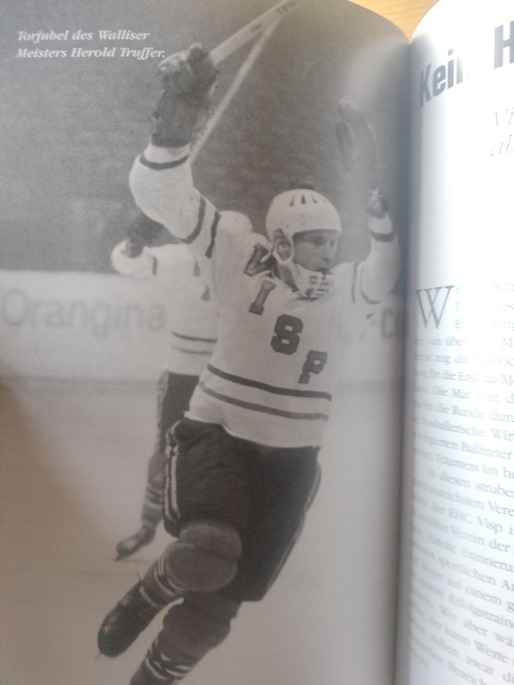 Bücher: Schweizer Eishockey Buch – Gebraucht aus Schwanden Sigrisw von cadieux71 7