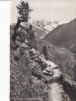 Pi Palü 1940