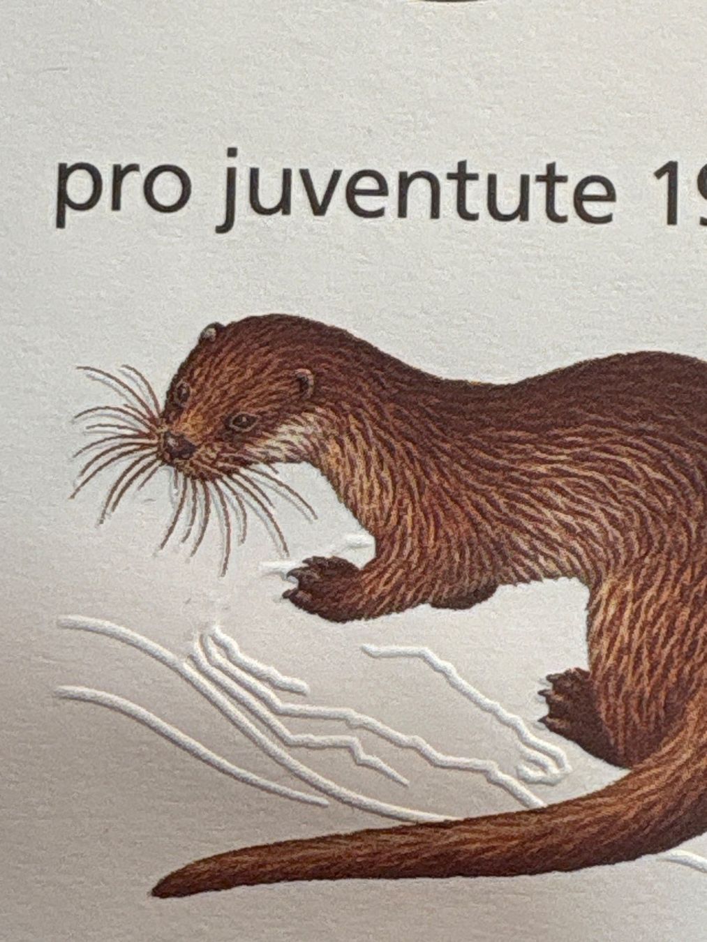 Tutti i francobolli: Pro Juventute Briefmarken-Satz 1996 – Usato da Ibach venduto da lisch3 4