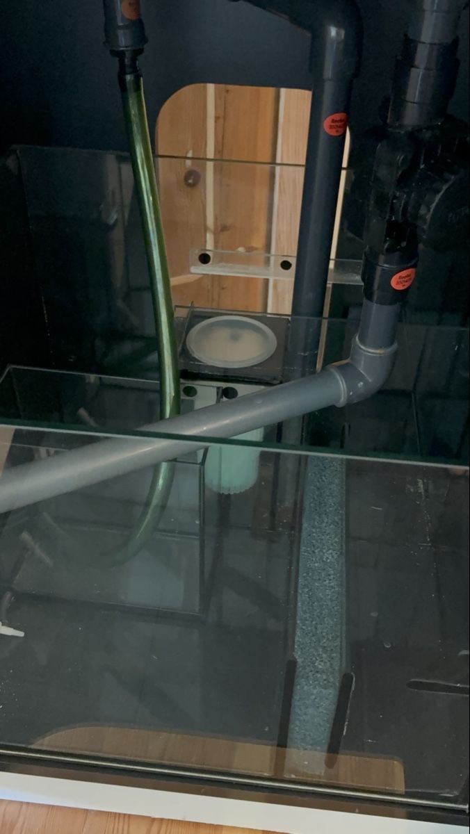 Aquarium: Red Sea Maxe-170 Aquarium  – Gebraucht aus Pfäffikon ZH von dan_xs7t 2