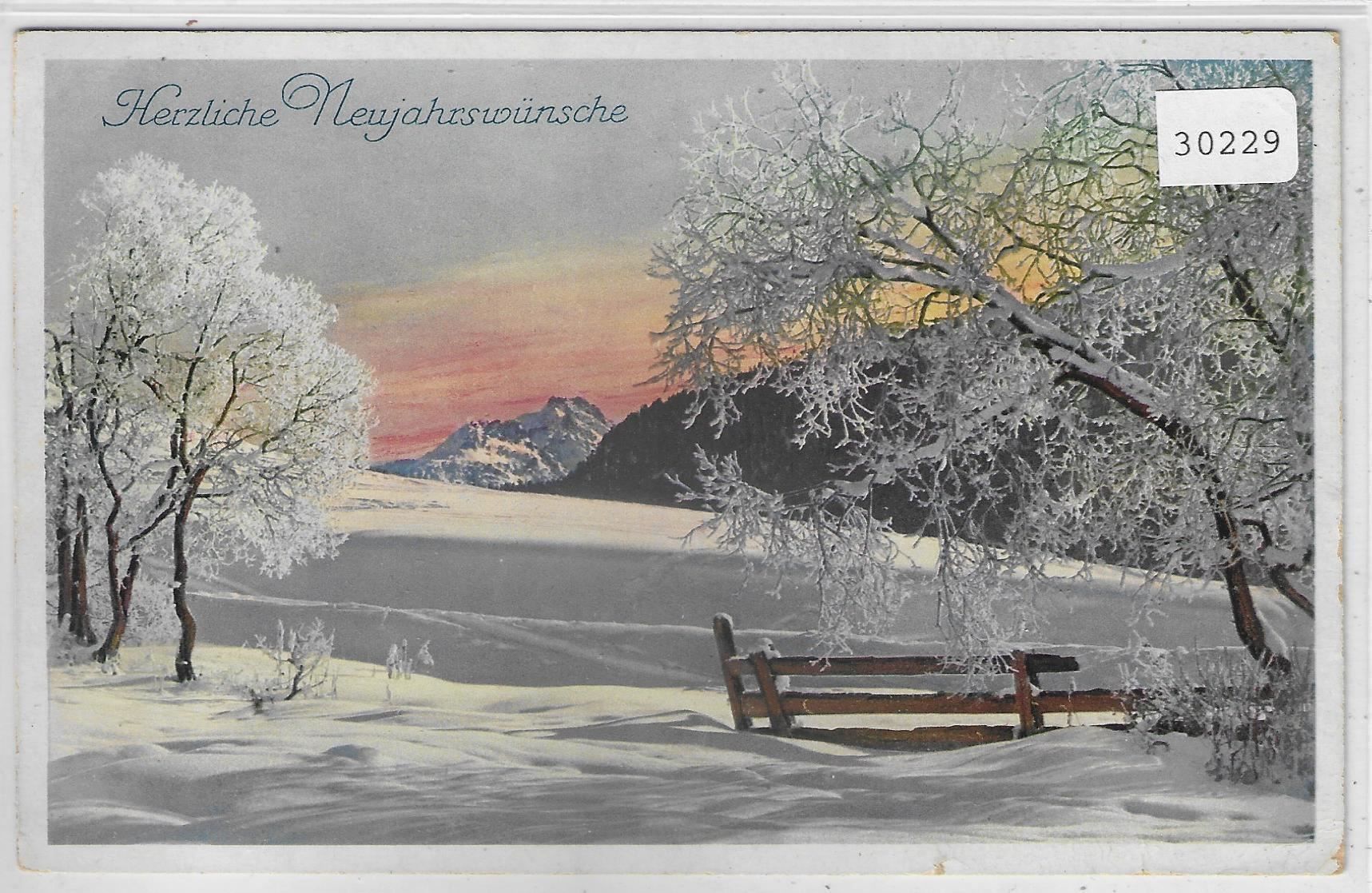 Cartoline postali: Herzliche Neujahrswünsche - Litho – Usato da Ettingen venduto da Kartenplanet