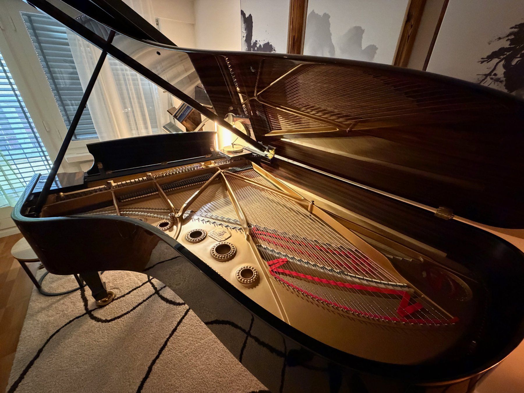 Steinway Strumenti musicali: Steinway & Sons Modell B – Makassar – Usato da Zürich venduto da den_dxq7 1