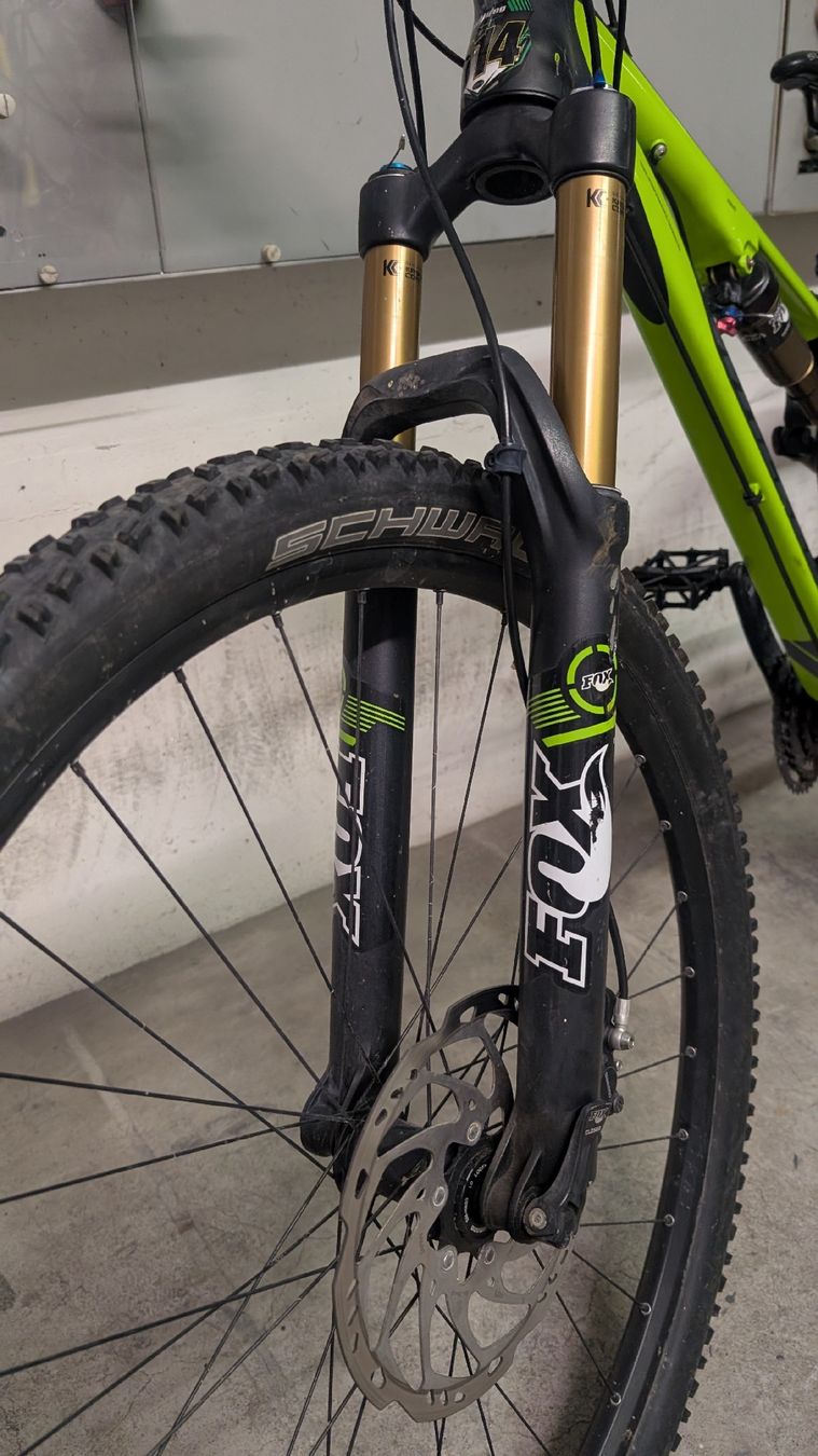 Wheeler Biciclette: Wheeler Brazilian 14 MTB – Usato da Herzogenbuchsee venduto da mas_t8d5 1