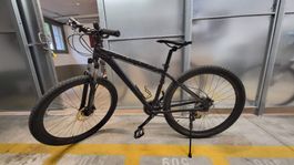 Mountainbike Schwarz Grösse L guter Zustand