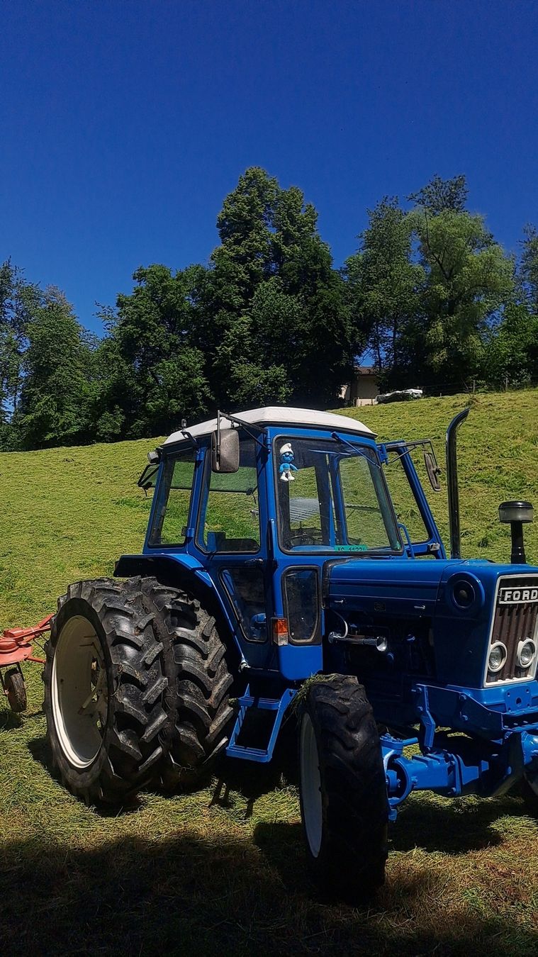 Ford Trattori: Ford 6600 Traktor – Usato da Lengnau venduto da jah_m6ph 3