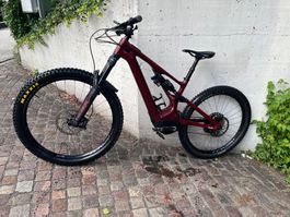 Specialized Levo Turbo Expert Maron/Black