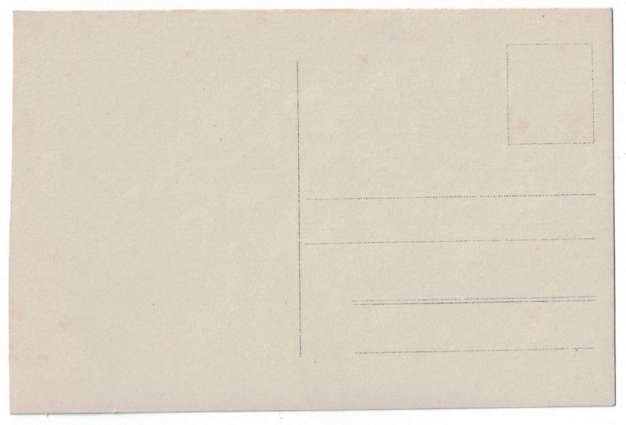 Cartoline postali: Soldatengruppe um 1910, verm. Bataillon 44 – Usato da Frauenfeld venduto da POML 1