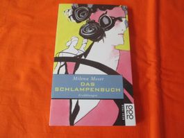 Buch Milena Moser, das Schlampenbuch