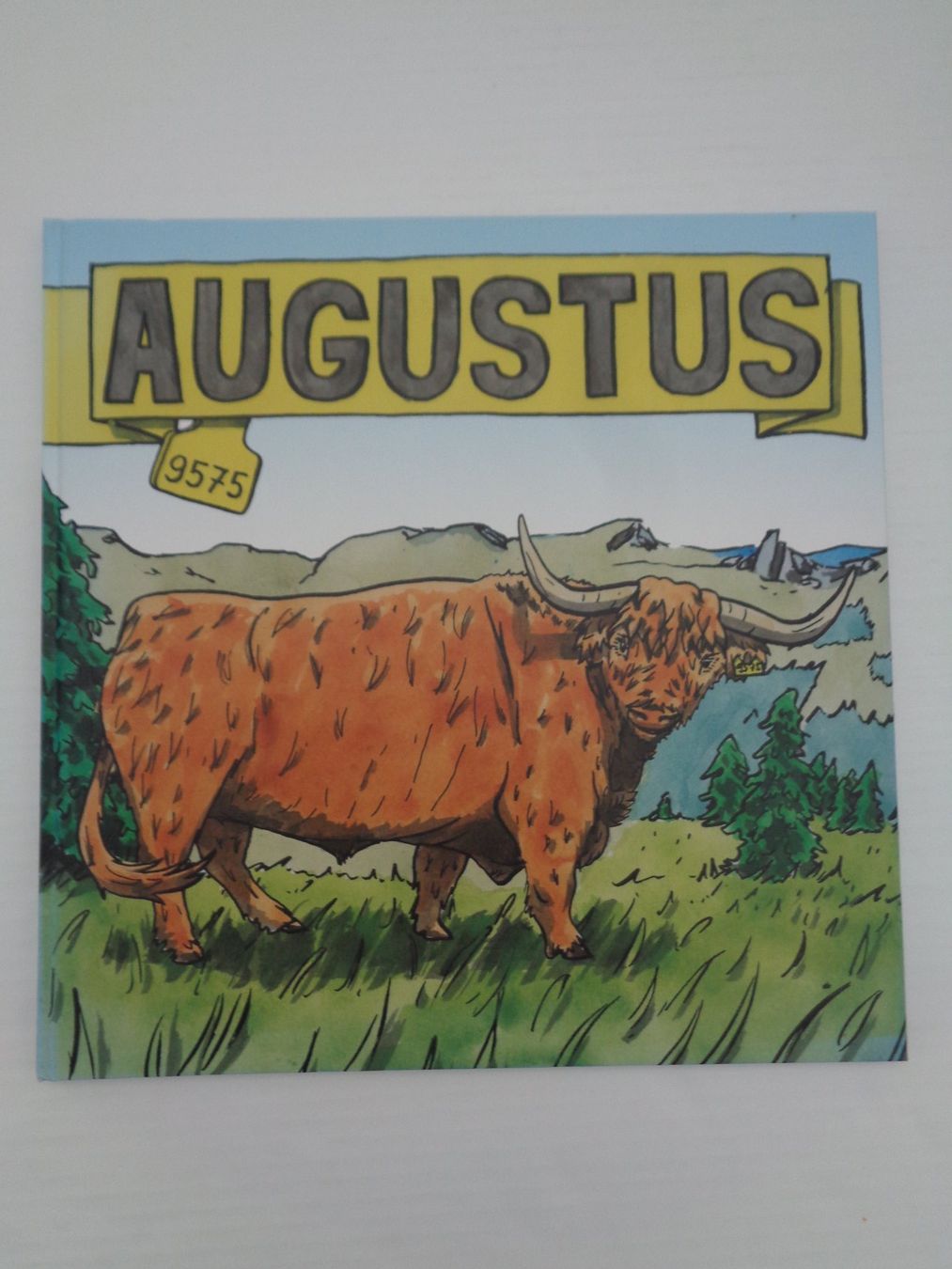 Libri: August 9575 - Fabian Hipp - Natur konkret – Usato da Chur venduto da Oregano1