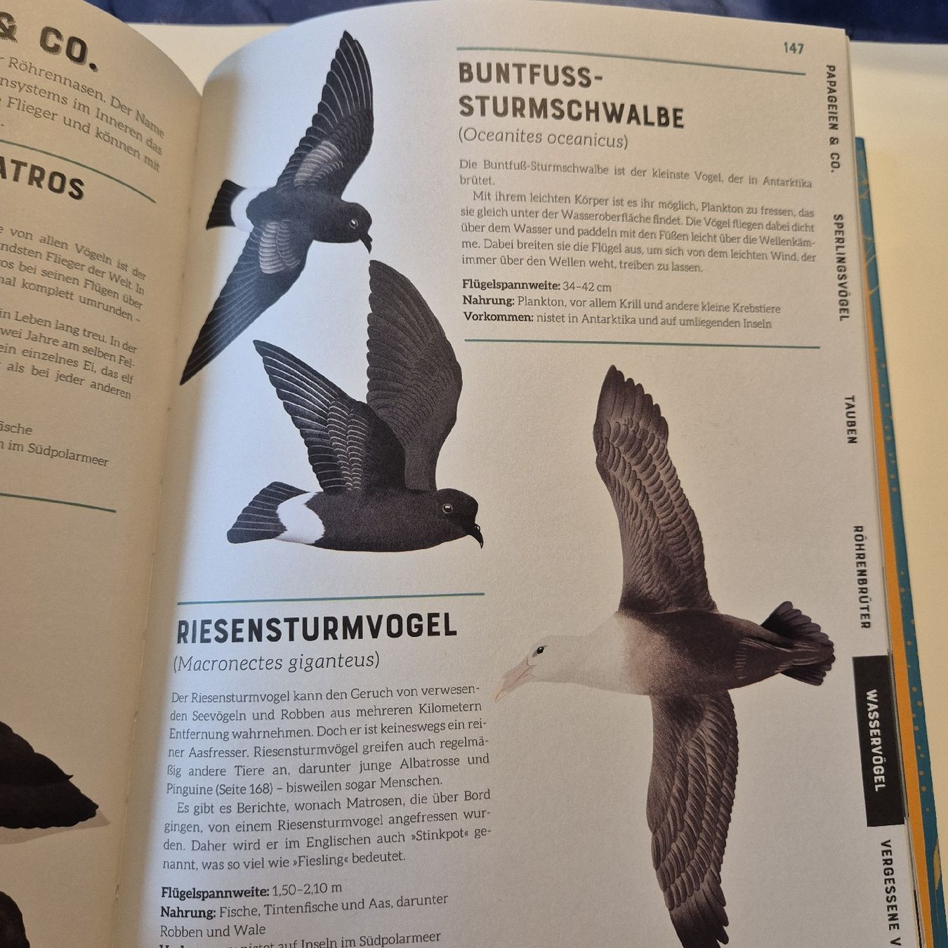 Libri: das grosse Lexikon der Vögel – Nuovo (secondo la descrizione) da Weinfelden venduto da piadesha 5