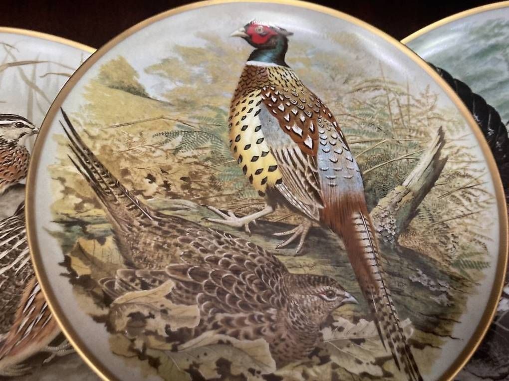 Teller: Collection 12 assiettes avec oiseaux du Monde – Gebraucht aus Greng von Cristina0112 2