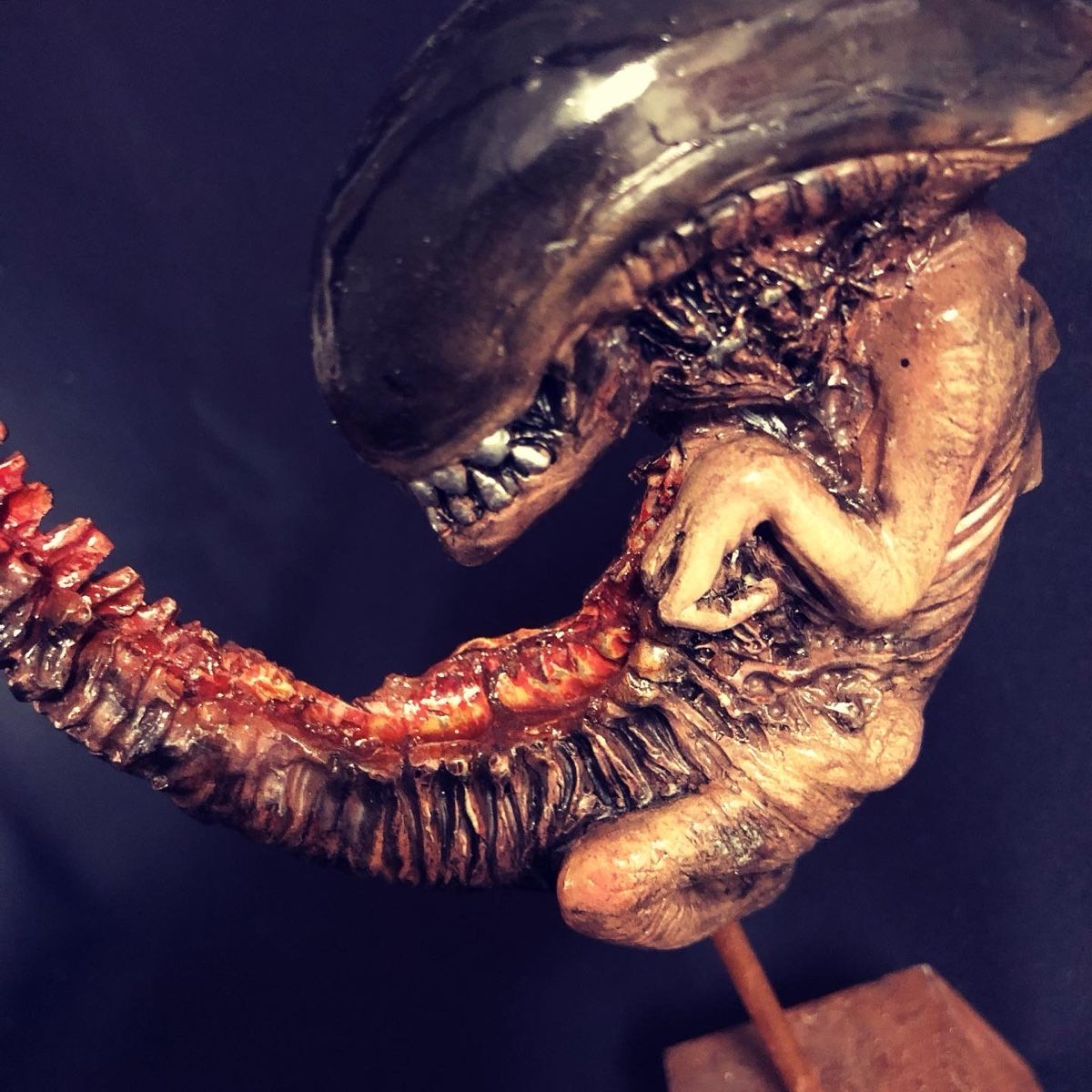 Figuren: Alien Embryo, Aliens, AvP, Not Sideshow – Neu (gemäss Beschreibung) aus Glattfelden von Ak_5bL 1