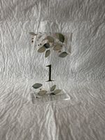 10er-Set Elegante, einfache Tischnummern, Größe 13,0 x 8,0 c