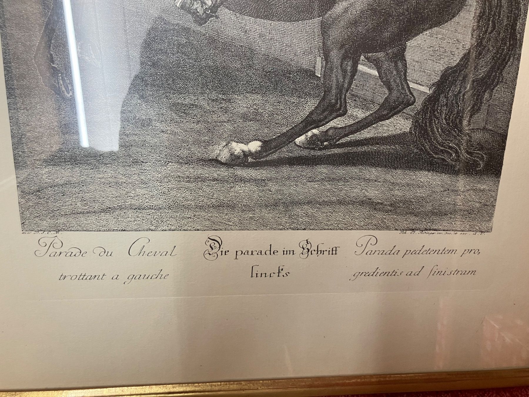 Incisioni: Antiker Pferde Stich "Parade du Cheval" gerahmt – Usato da Schlieren venduto da mvm01 2