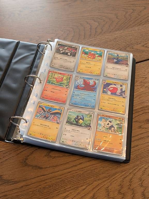 Pokémon Carte collezionabili: Pokémon Sammelordner mit 50 Seiten – Usato da Sempach venduto da Tornadoblaster 1
