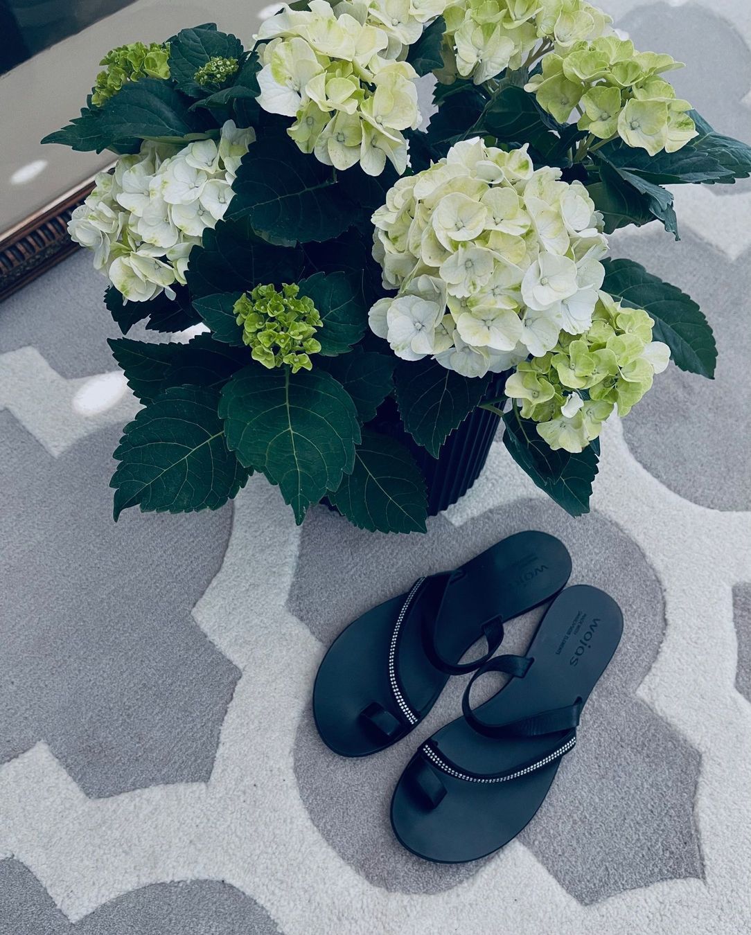Scarpe da donna: Wunderschöne Damenschuhe NEU 37 Grösse – Nuovo (secondo la descrizione) da Winkel venduto da KaschmirArt 9