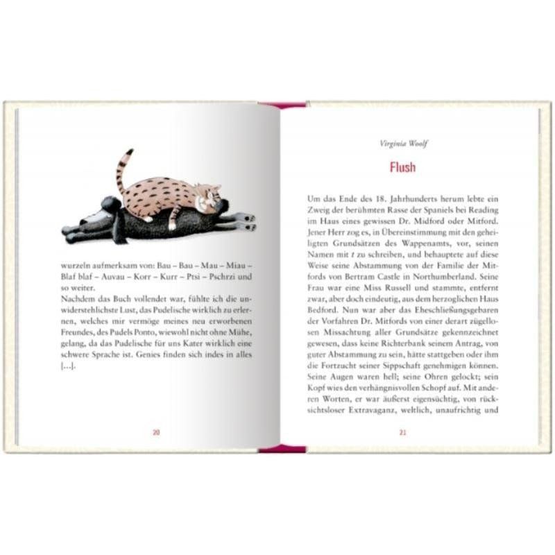 Libri: Geschenkbuch Tierisch gute Freunde – Nuovo e nell'imballaggio originale da Kaltbrunn venduto da Condor2 1