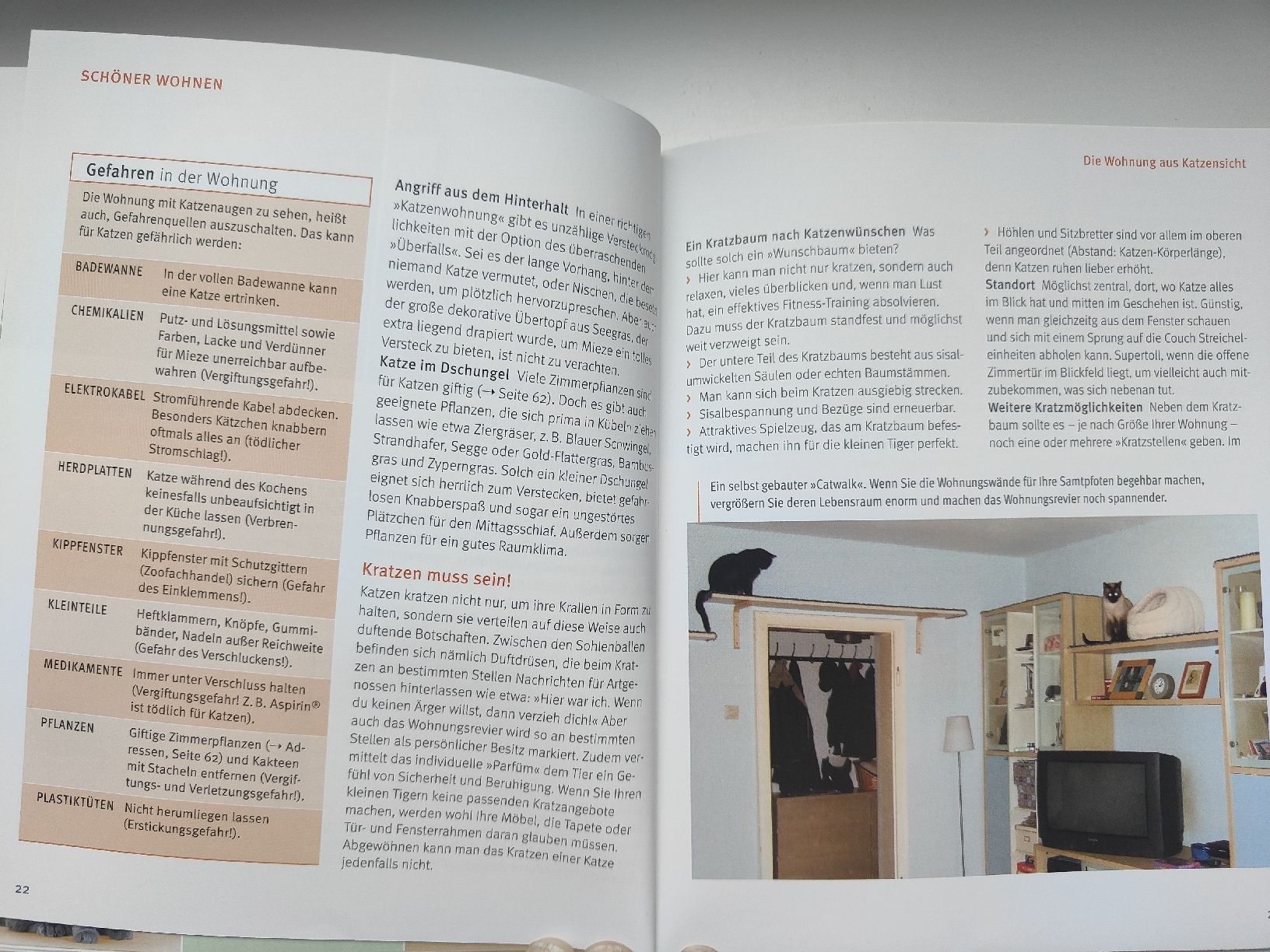 Libri: 2 GU Ratgeber Katzen: Verhalten & Wohnung – Usato da Morschach venduto da ClKi04 3