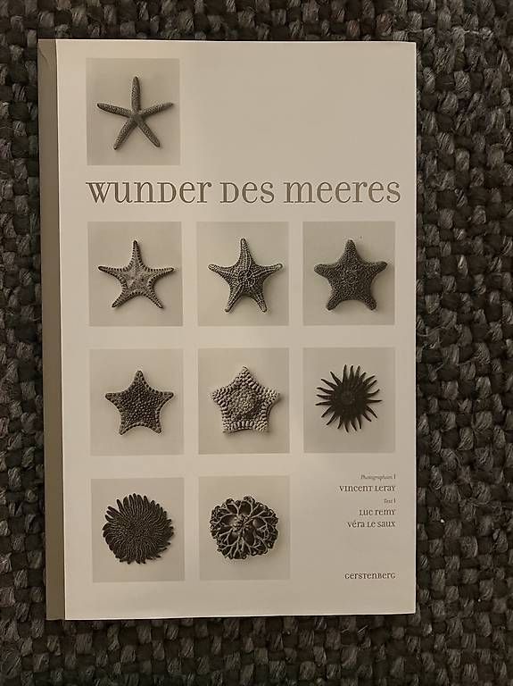 Libri: Wunder des Meeres – Usato da Adliswil venduto da Ursula8102