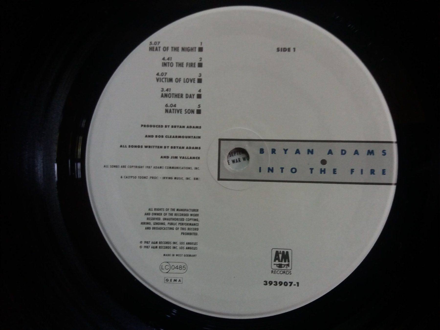 Dischi in vinile: LP (Bryan Adams) Into The Fire – Usato da Meyrin venduto da toutatis 3
