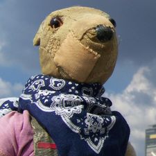 Profile image of semibold