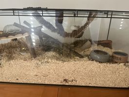 Terrarium für kleine Nager inkl. Zubehör Ausstattung und Heu