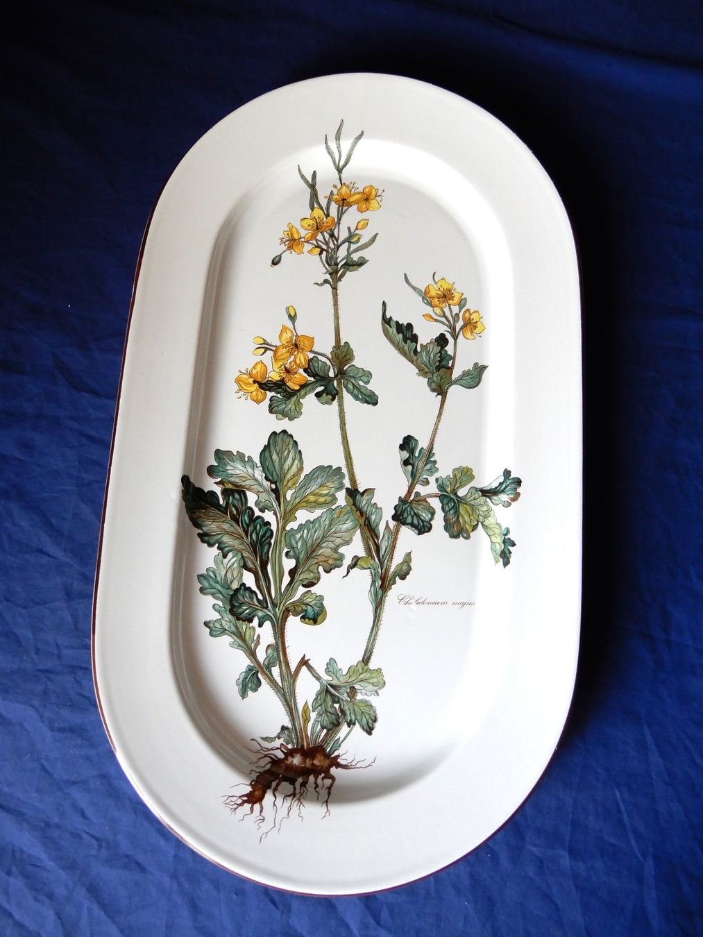Villeroy & Boch Piatti di portata: Villeroy & Boch Botanica, Fleischplatte 45 cm - – Usato da Senèdes venduto da tintinette43