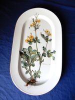 Villeroy & Boch Botanica, Fleischplatte 45 cm -