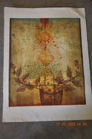 Original Lithographie von René Carcan. La cuvée magique 1983