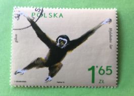 Briefmarken aus Polen gestempelt Siehe Original Fotos. 