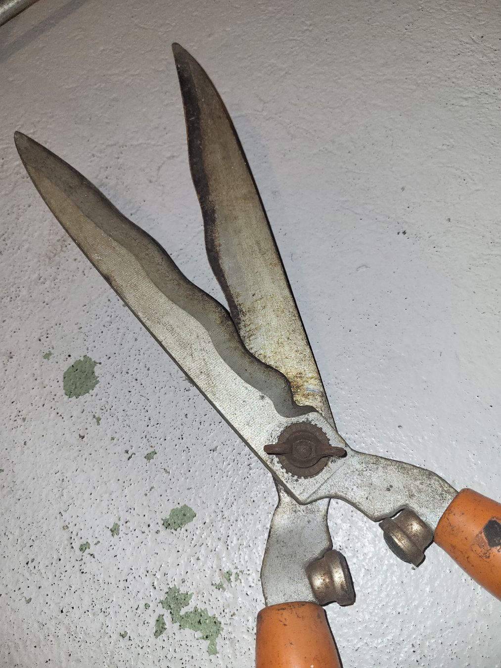 Tous les outils: Gartenschere Friends gebraucht – D'occasion à Buchs AG par sie_f6dg 2