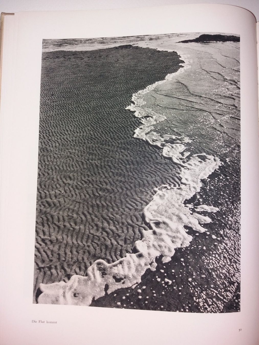 Bücher: ALFRED Ehrhardt das Watt Fotoklassiker – Gebraucht aus Welschenrohr von Regool