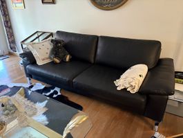 Ledersofa Classics
