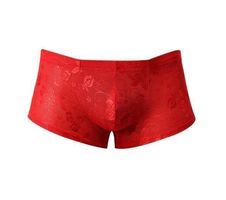 NEUES Erotik Herren Spitzen Panty rot Gr. M - 220019