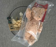 Tonies Steiff Bär Jimmy