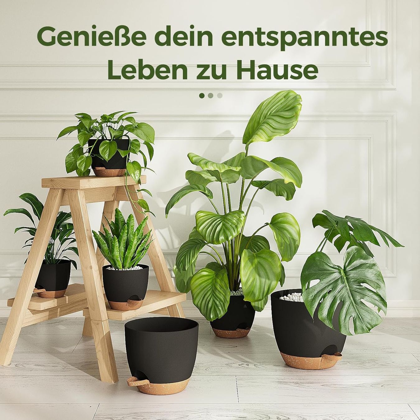 Blumentöpfe: Blumentöpfe 6er Set selbstbewässernd mit Untersetzer – Neu und originalverpackt aus Dietikon von Abverkauf10 5