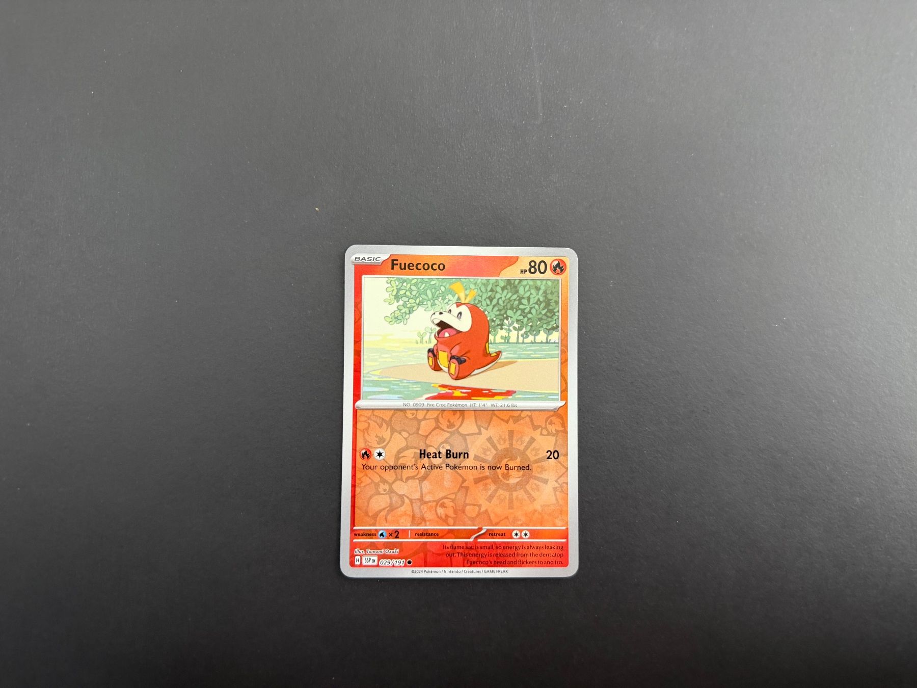 Pokémon Carte collezionabili: Fuecoco 029/191 – Usato da Zürich venduto da mountainwizard00