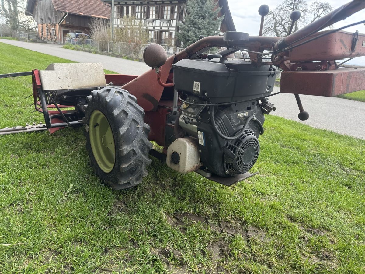 Aebi Tutte le macchine: Motormäher Aebi AM 41 mit Vanguardmotor – Usato da Winden venduto da farmalld439 2