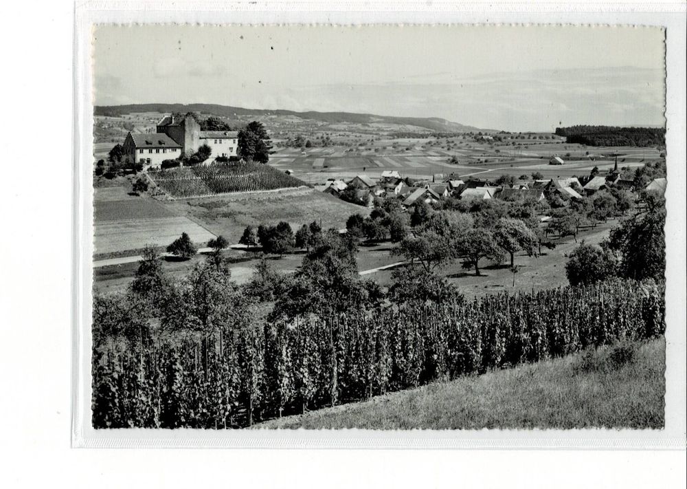 Schloss Schwandegg mit WALTALINGEN mir Rebberg ZH ca 1940! Kaufen auf