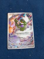Boréas/Tornadus Illustration Rare (FR) SVP Black Star Promos
