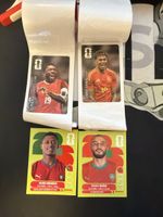 Panini Sticker 2026