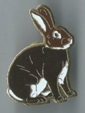 Plaketten & Abzeichen: Hase, Pin – Gebraucht aus Zürich von t24_de