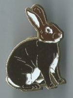 Hase, Pin