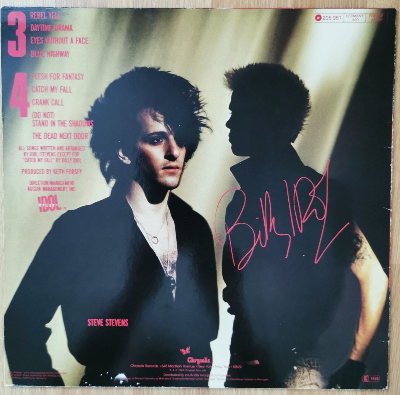 Dischi in vinile: Billy Idol -  "Rebel Yell" Vinyl LP 1983 – Usato da Birsfelden venduto da dsc_f8gx 1
